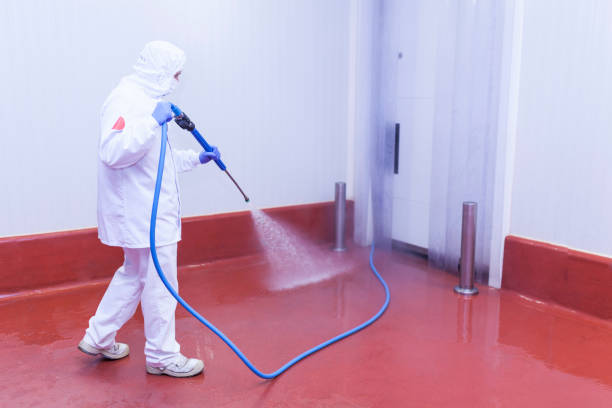 Professional Pressure Washing Services in Coral Hills, MD
